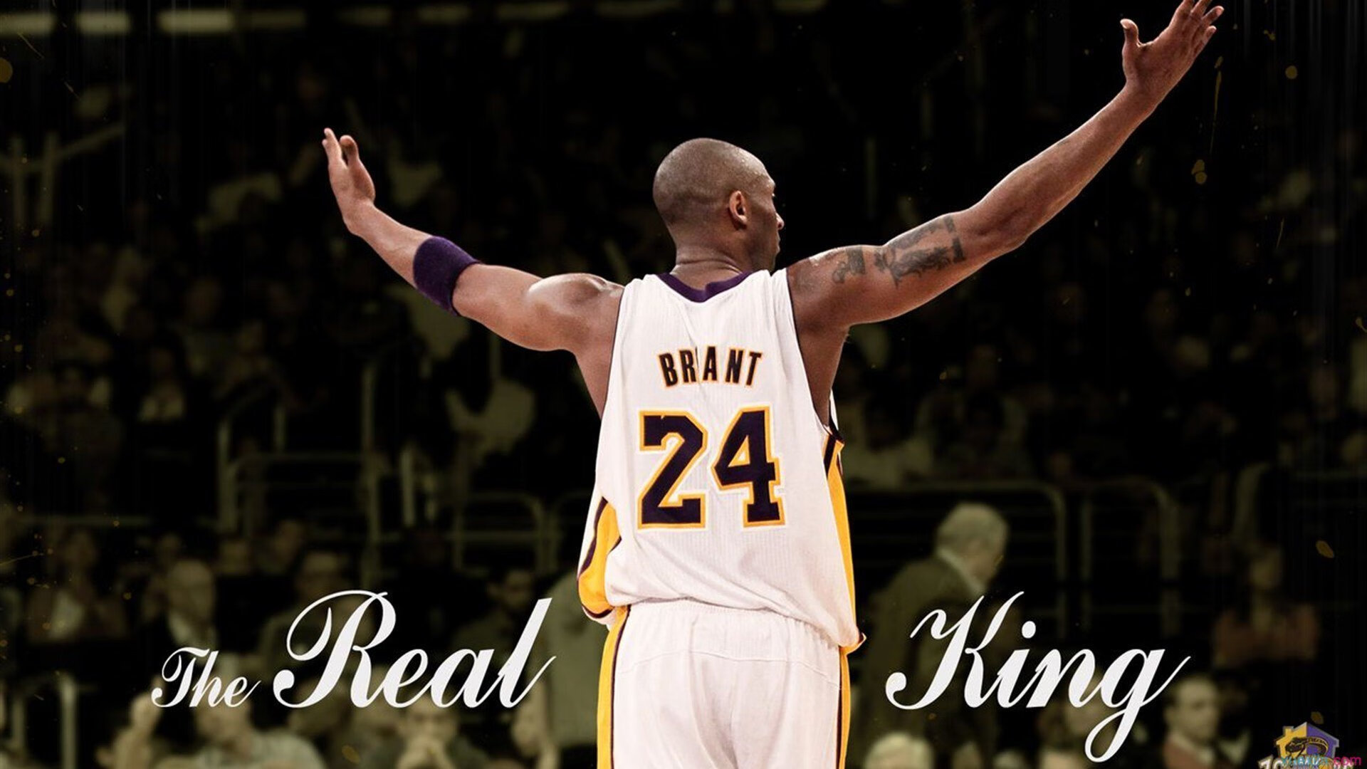 开云官网APP下载-历史性时刻：首次在湿滑赛道中夺冠