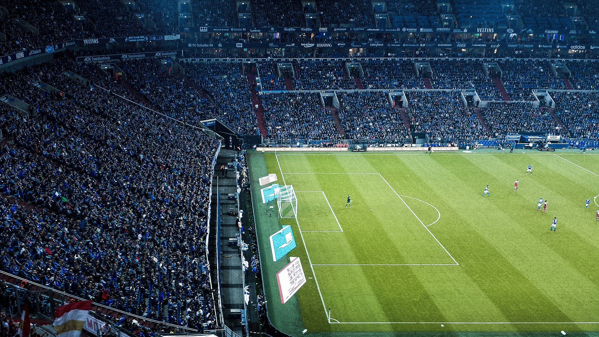 开云平台-塞内加尔马术协会开展马匹福利宣传活动，提升公众意识。，马赛内马尔